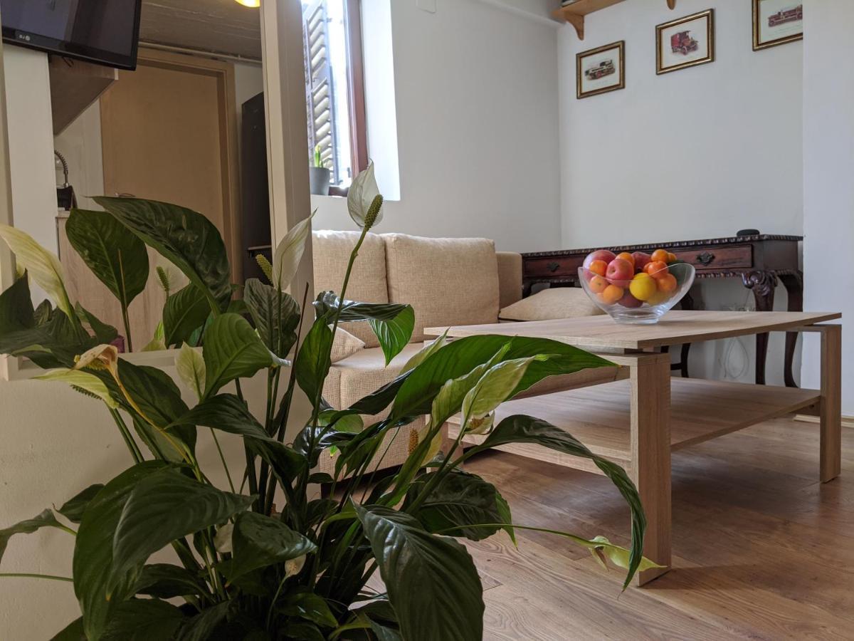 Twin-Magnolias Condo With Garden, Parking & Ev Station ザグレブ エクステリア 写真