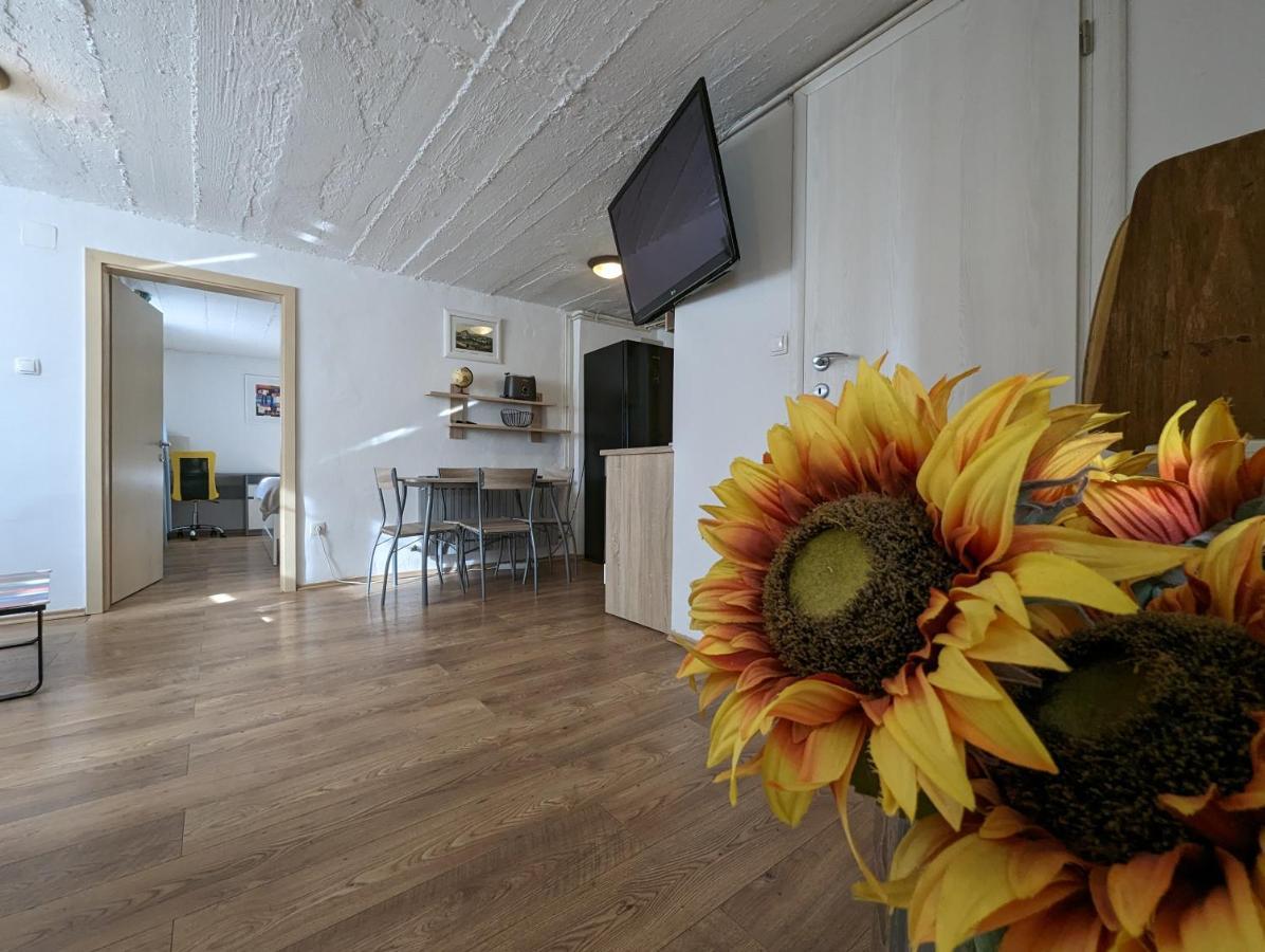 Twin-Magnolias Condo With Garden, Parking & Ev Station ザグレブ エクステリア 写真